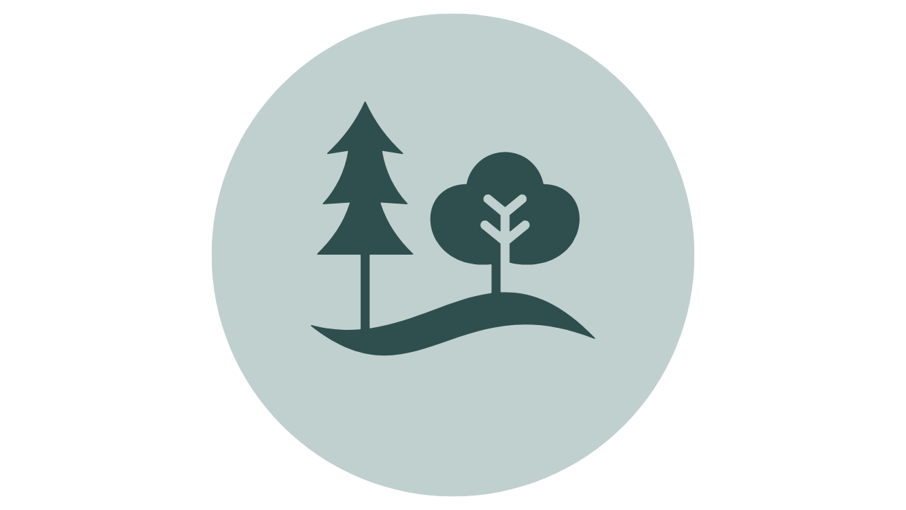 Peyzaj Tasarım & Uygulama